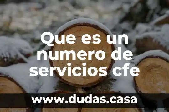 Que es un numero de servicios cfe