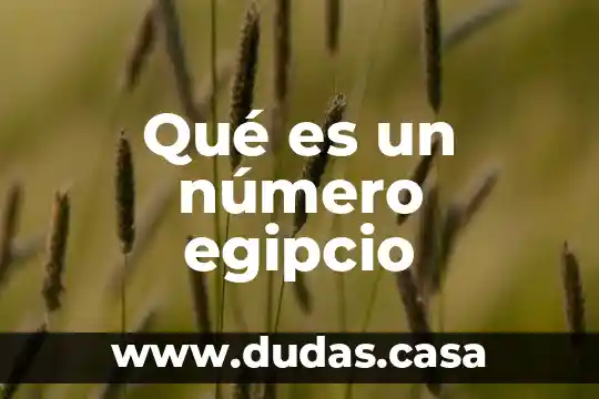 Qué es un número egipcio
