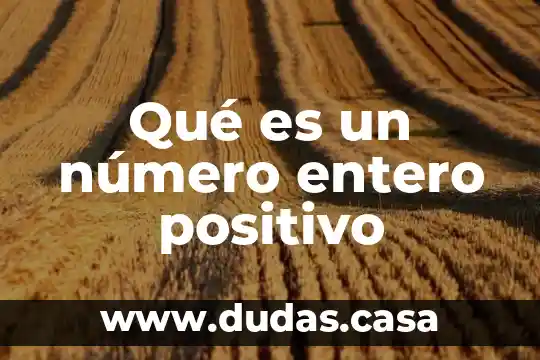 Qué es un número entero positivo