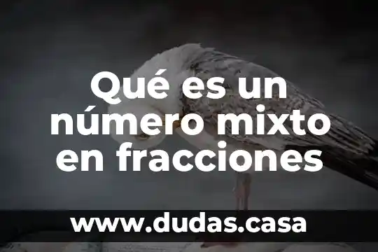 Qué es un número mixto en fracciones