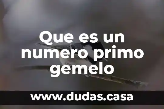 Que es un numero primo gemelo