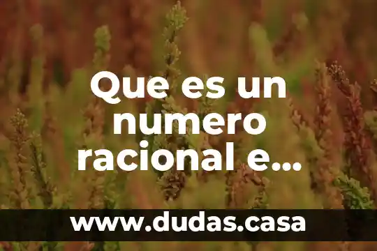 Que es un numero racional e irracional ejemplos