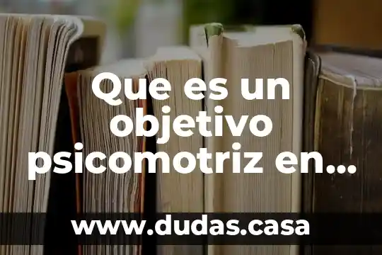Que es un objetivo psicomotriz en una empresa