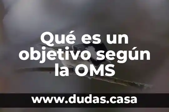 Qué es un objetivo según la OMS