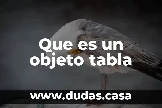 Que es un objeto tabla