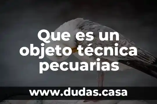 Que es un objeto técnica pecuarias