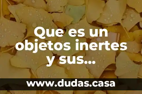 Que es un objetos inertes y sus caracteristicas