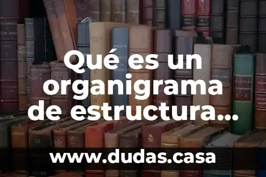 Qué es un organigrama de estructura de crédito