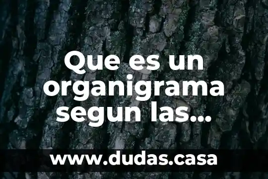 Que es un organigrama segun las empresas