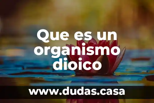 Que es un organismo dioico