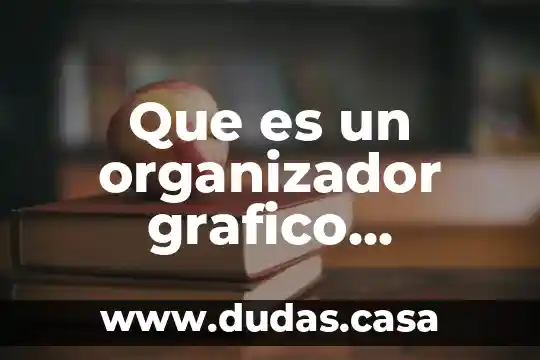 Que es un organizador grafico informacion