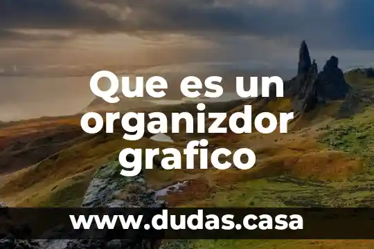 Que es un organizdor grafico