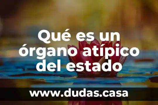 Qué es un órgano atípico del estado