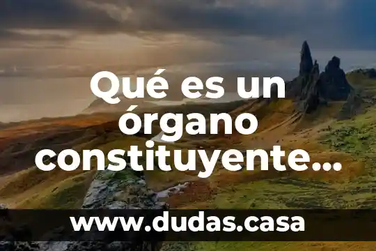 Qué es un órgano constituyente originario
