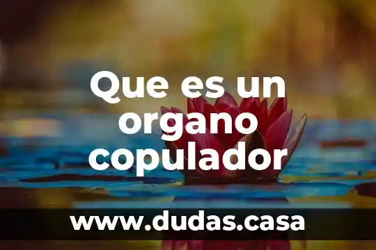Que es un organo copulador