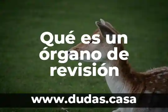Qué es un órgano de revisión