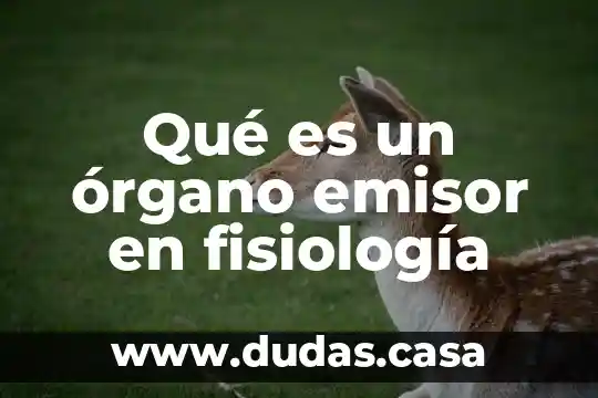 Qué es un órgano emisor en fisiología