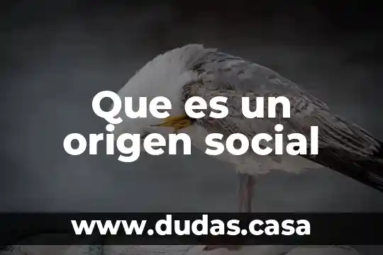Que es un origen social