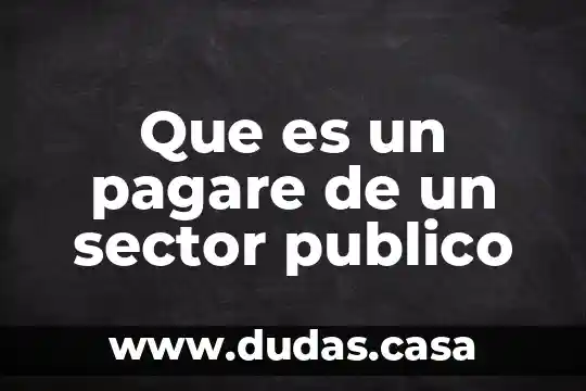 Que es un pagare de un sector publico