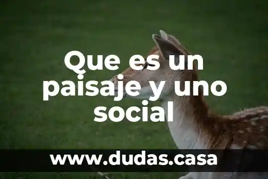 Que es un paisaje y uno social