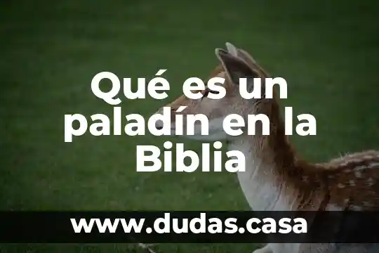 Qué es un paladín en la Biblia