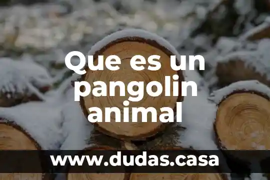 Que es un pangolin animal