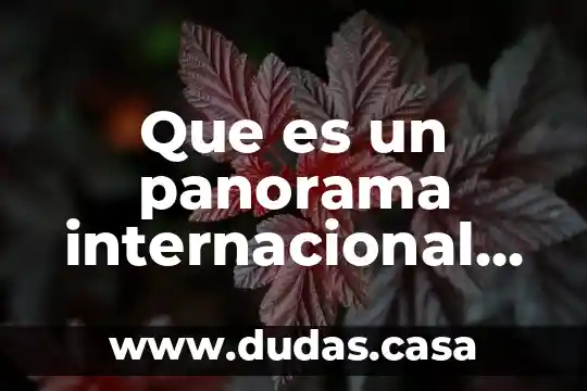 Que es un panorama internacional cambiante