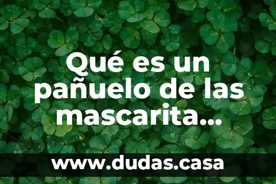 Qué es un pañuelo de las mascarita definición