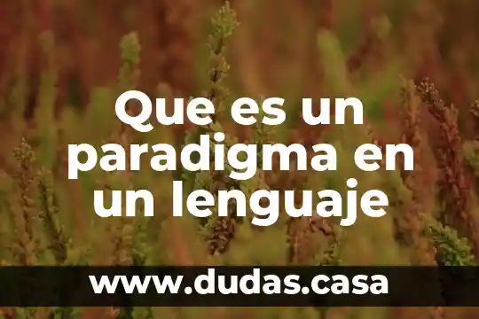 Que es un paradigma en un lenguaje
