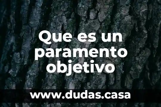 Que es un paramento objetivo