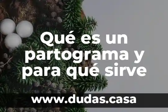 Qué es un partograma y para qué sirve