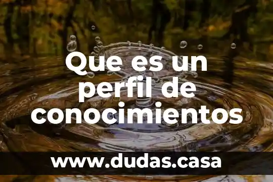 Que es un perfil de conocimientos