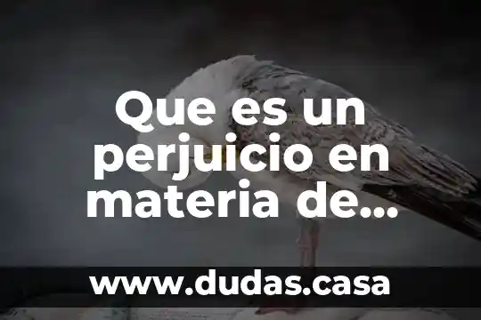 Que es un perjuicio en materia de amparo