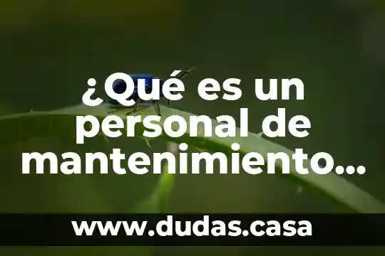 ¿Qué es un personal de mantenimiento y pun?