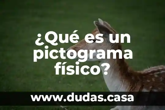¿Qué es un pictograma físico?