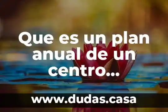 Que es un plan anual de un centro educativo