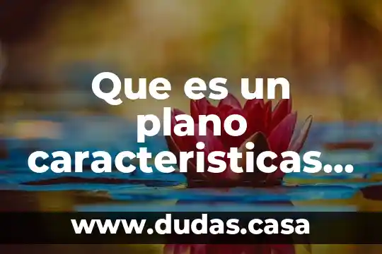 Que es un plano caracteristicas tipos y contenido