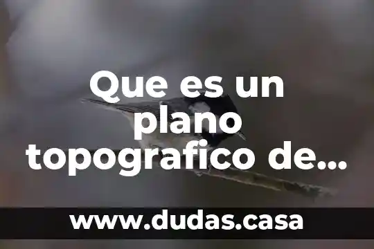 Que es un plano topografico de un animal
