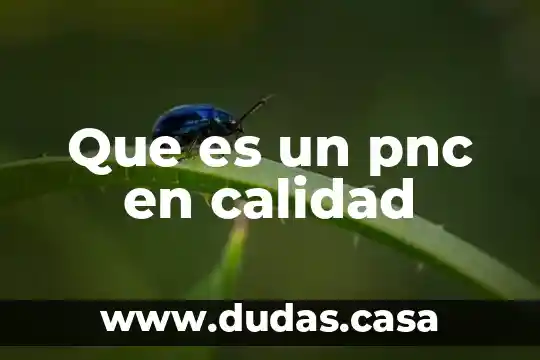 Que es un pnc en calidad