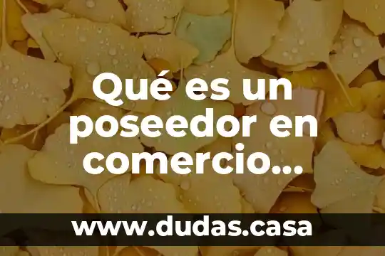 Qué es un poseedor en comercio exterior