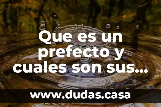 Que es un prefecto y cuales son sus funciones