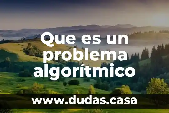 Que es un problema algorítmico