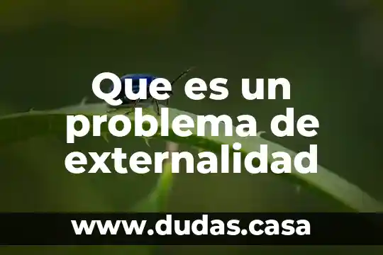 Que es un problema de externalidad