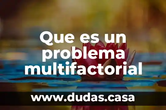 Que es un problema multifactorial