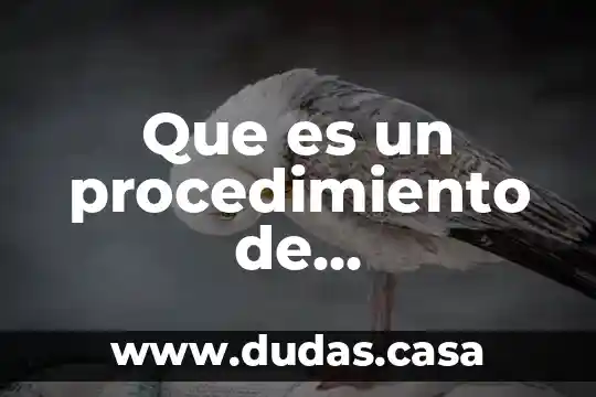 Que es un procedimiento de mantenimiento definicion