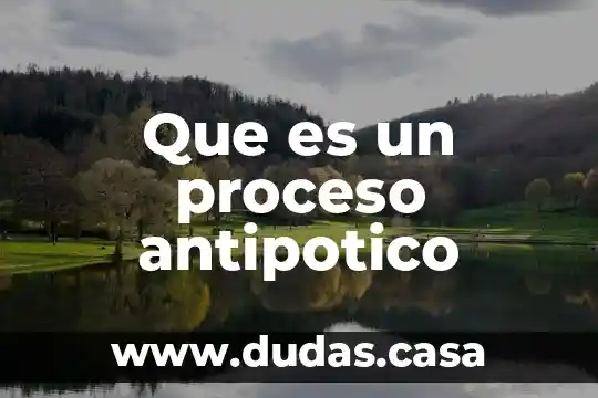 Que es un proceso antipotico