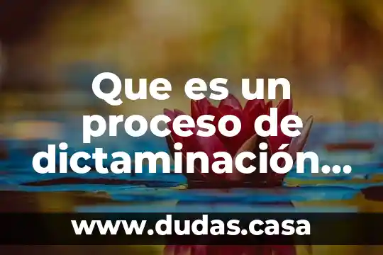 Que es un proceso de dictaminación de una editorial