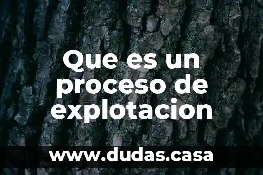 Que es un proceso de explotacion