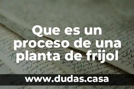 Que es un proceso de una planta de frijol