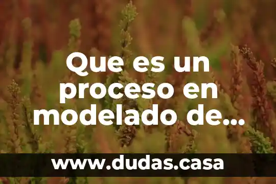 Que es un proceso en modelado de procesos de negocio